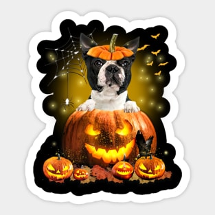 Black Boston Terrier Spooky Halloween Pumpkin Dog Head Sticker